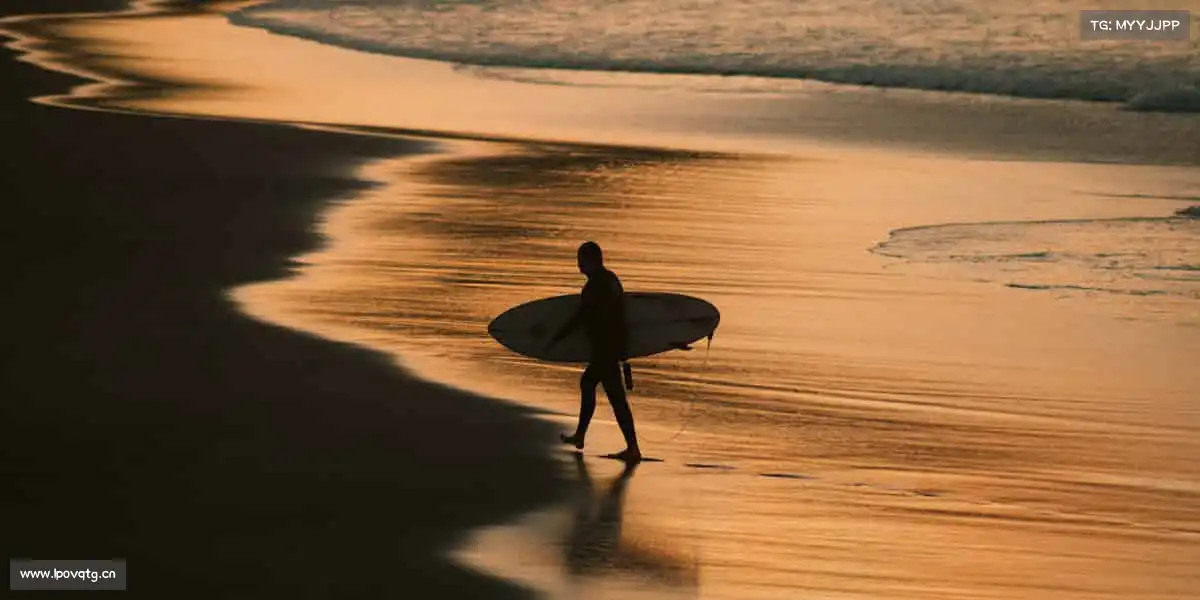 我们的品牌价值